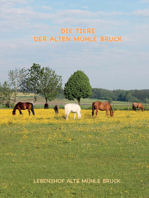 cover image of Wie kommt das Pony auf den Gnadenbrothof?